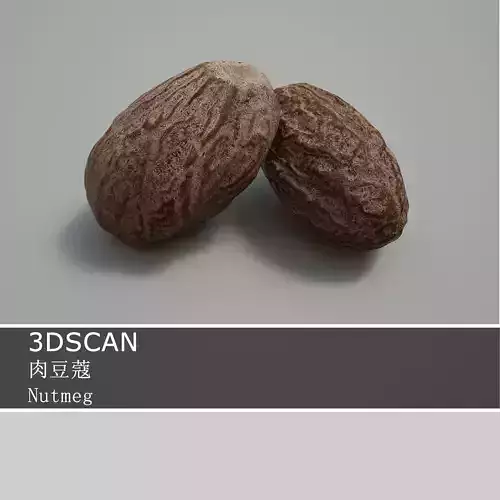 3DSCAN-Traditional Chinese Medicine-Nutmeg Low-poly 3D model