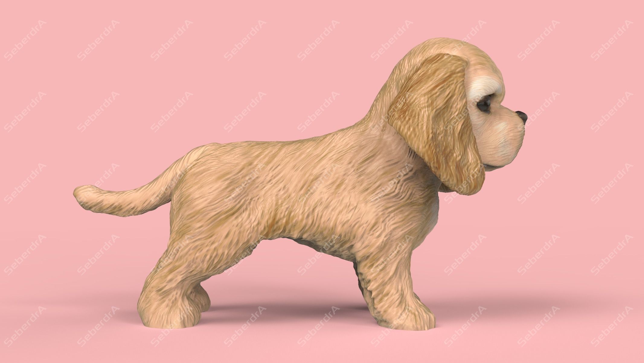 Cute Puppy American Cocker Spaniel STL and VRML 3D print model_3