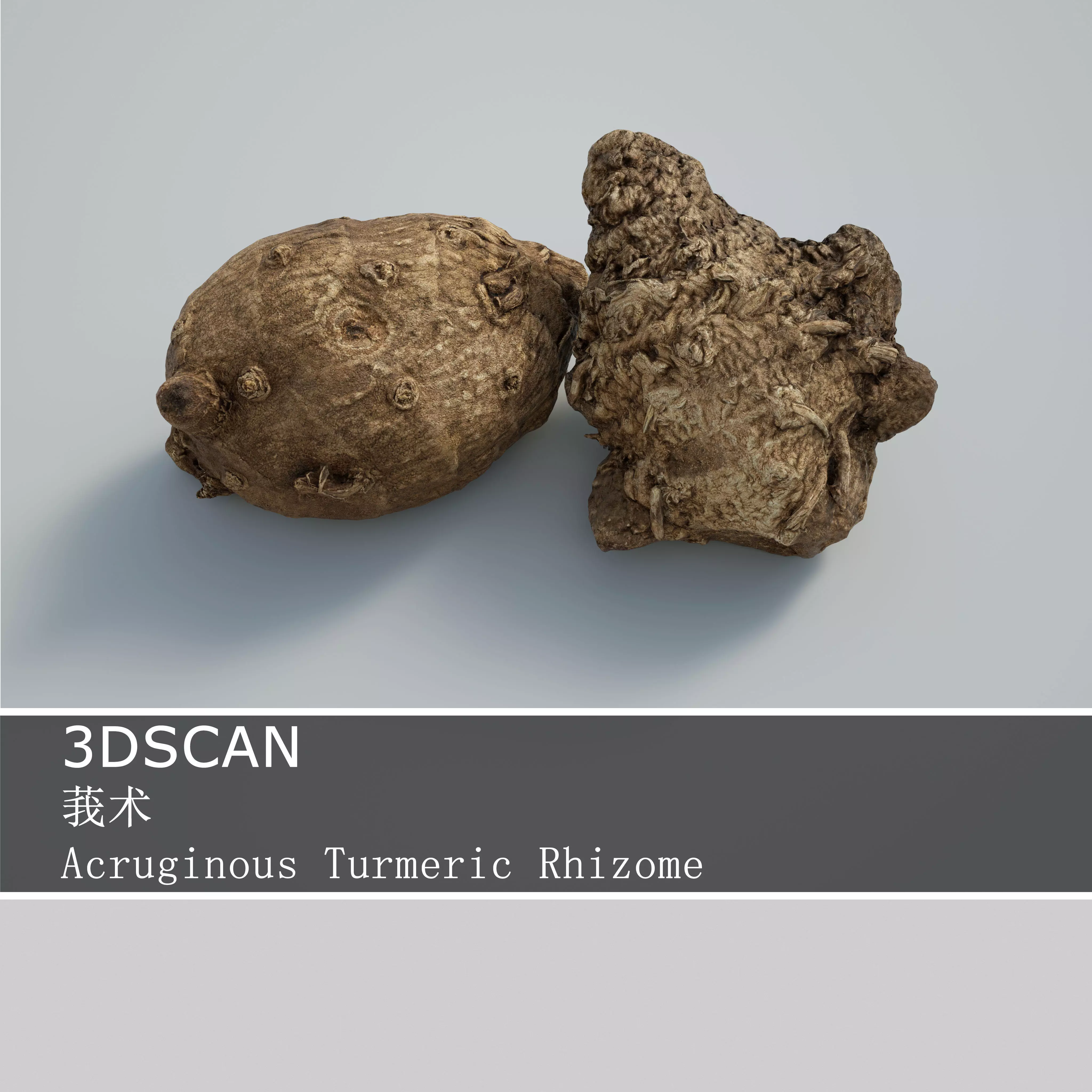 3DSCAN-Traditional Chinese Medicine-Acruginous Turmeric Rhizome Low-poly 3D model