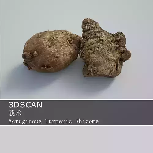 3DSCAN-Traditional Chinese Medicine-Acruginous Turmeric Rhizome Low-poly 3D model