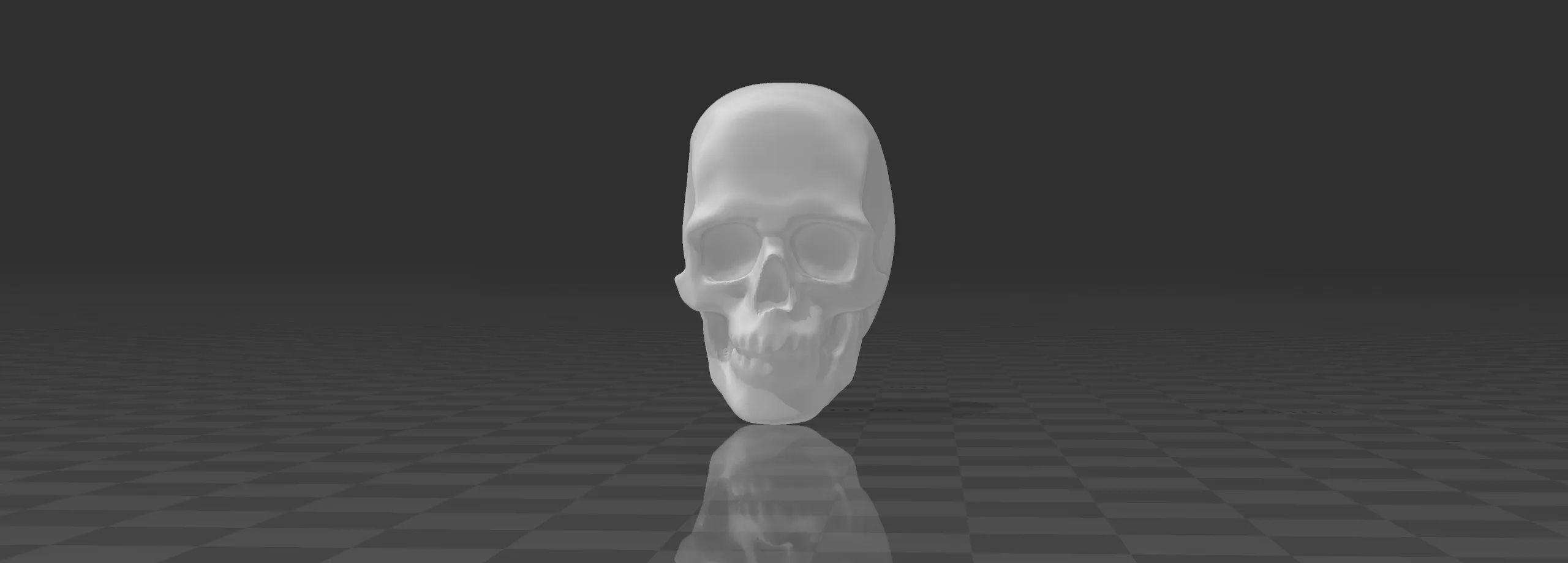 Skull 3D print model_2