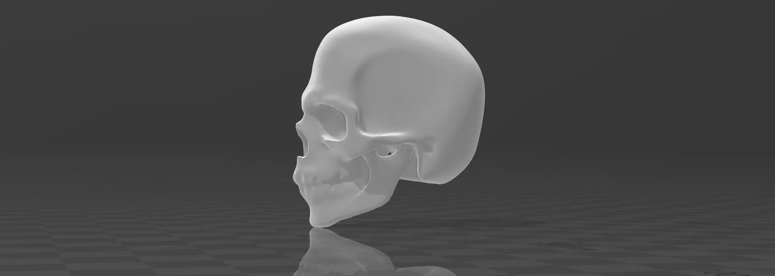 Skull 3D print model_1