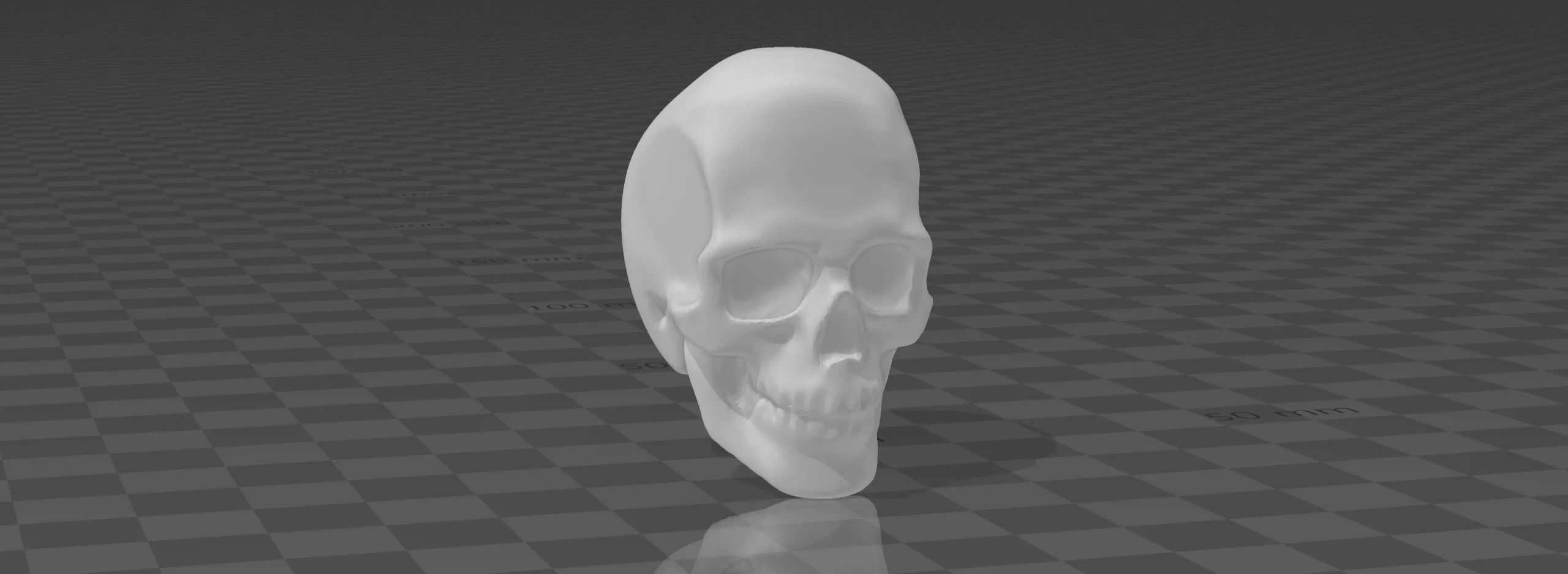 Skull 3D print model_3