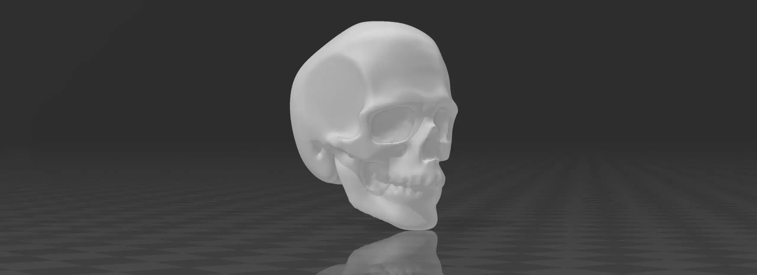 Skull 3D print model_0