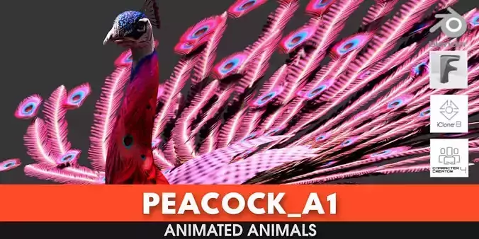 Peacock A1 3D model