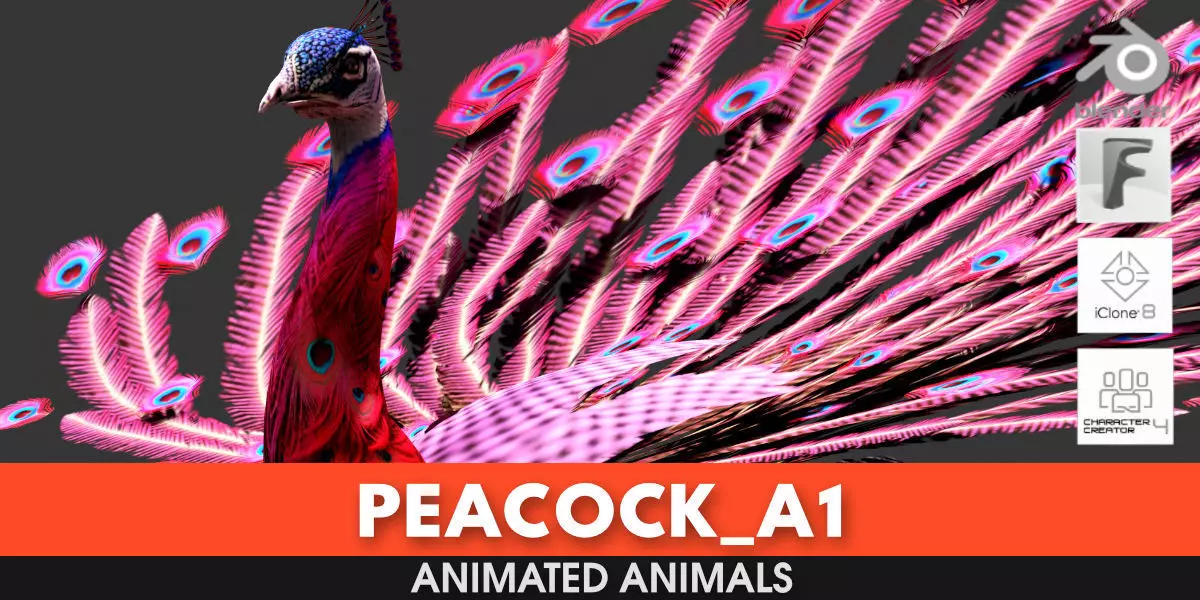 Peacock A1 3D model_0