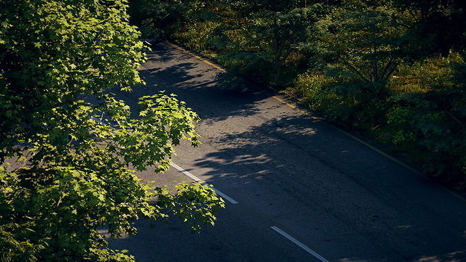 Beautiful Highway 3D model 6
