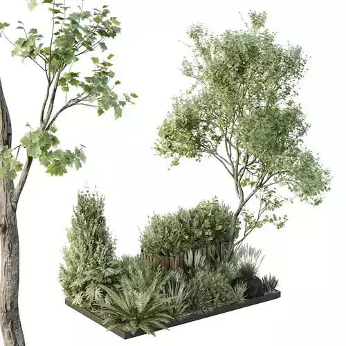 HQ Tree and bush garden box outdoor VOL 17