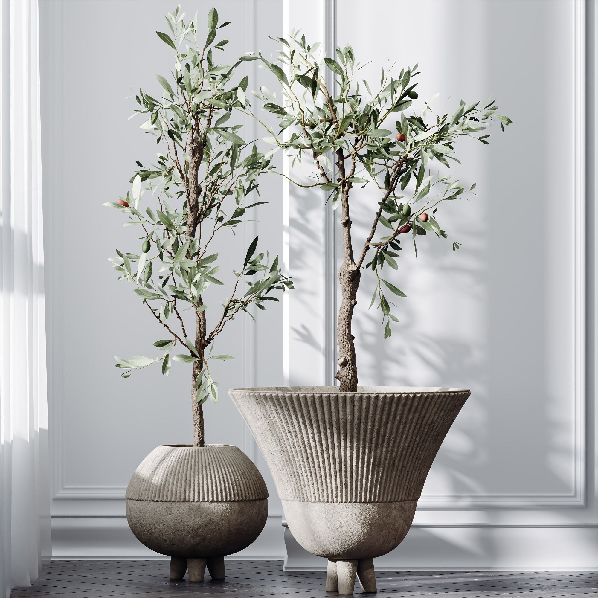 HQ Plants Mission Olive Tree Indoor Vase Set001 3D model_3