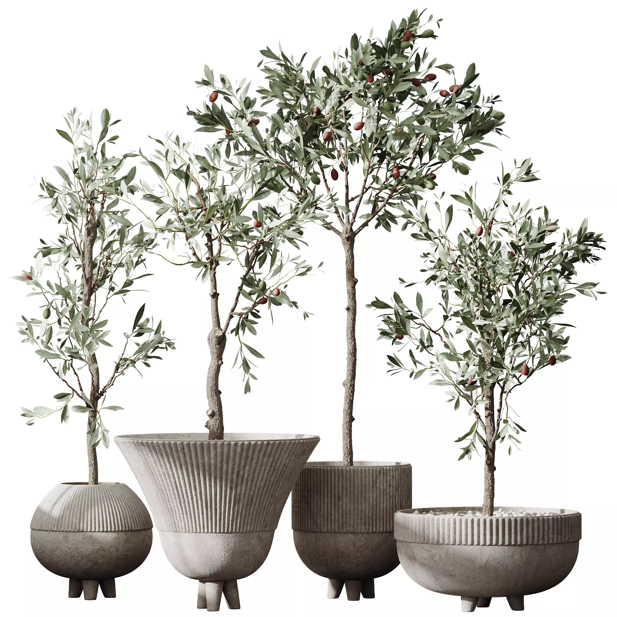 HQ Plants Mission Olive Tree Indoor Vase Set001 3D model_0