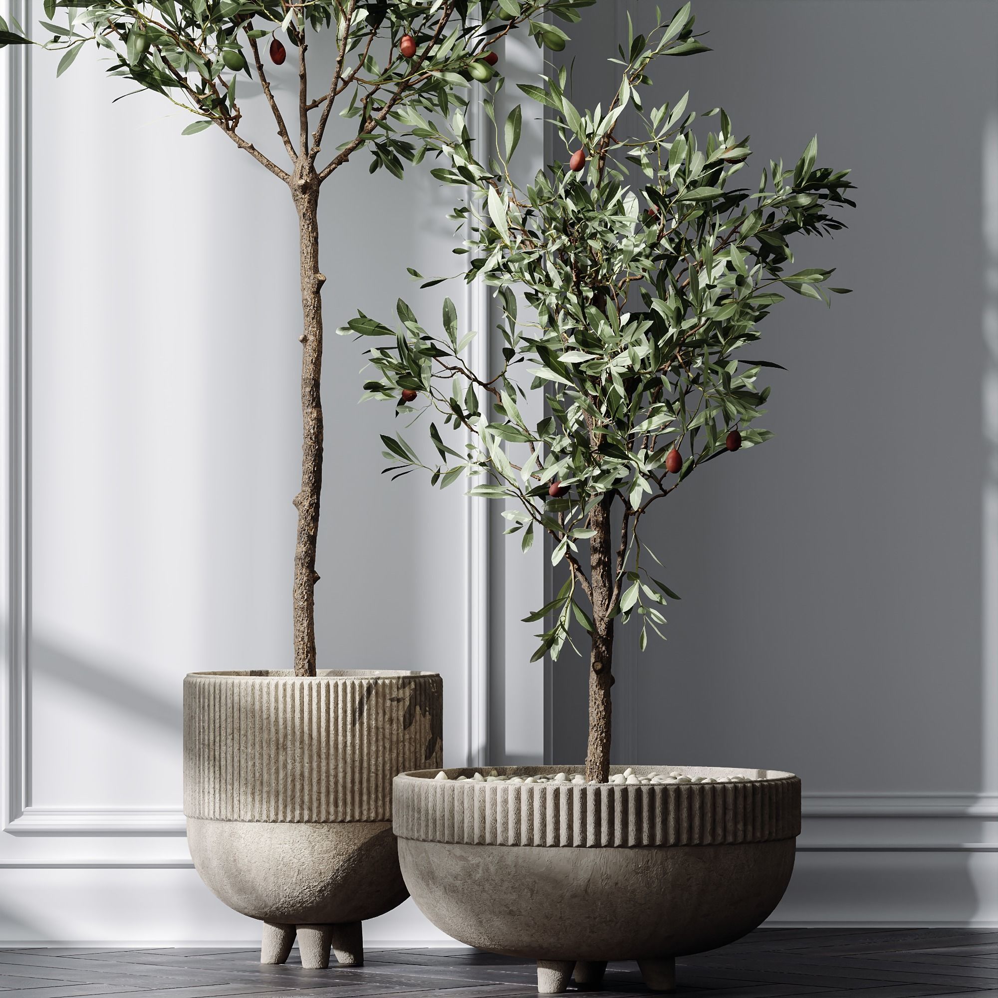 HQ Plants Mission Olive Tree Indoor Vase Set001 3D model_2