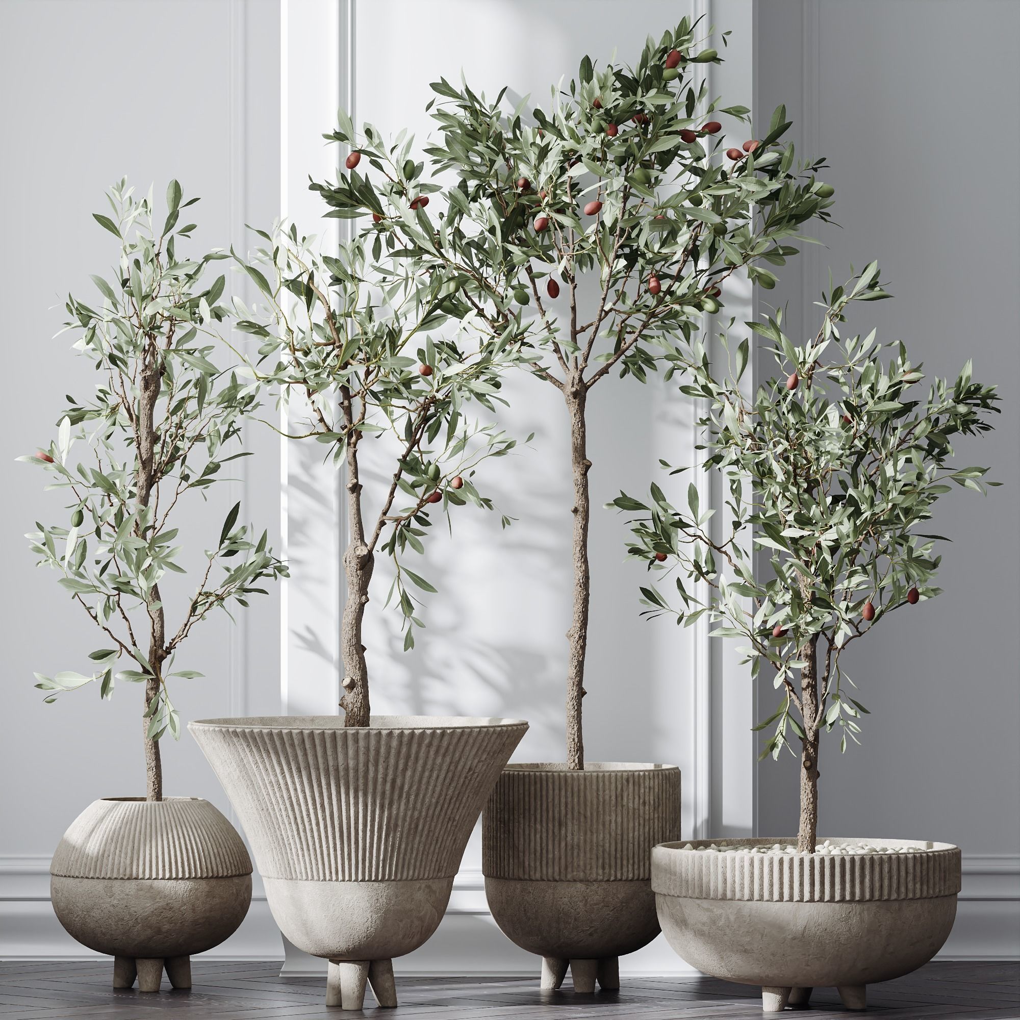 HQ Plants Mission Olive Tree Indoor Vase Set001 3D model_1
