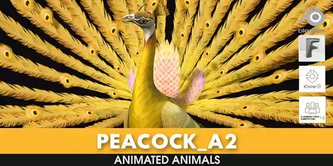Peacock A2 3D model