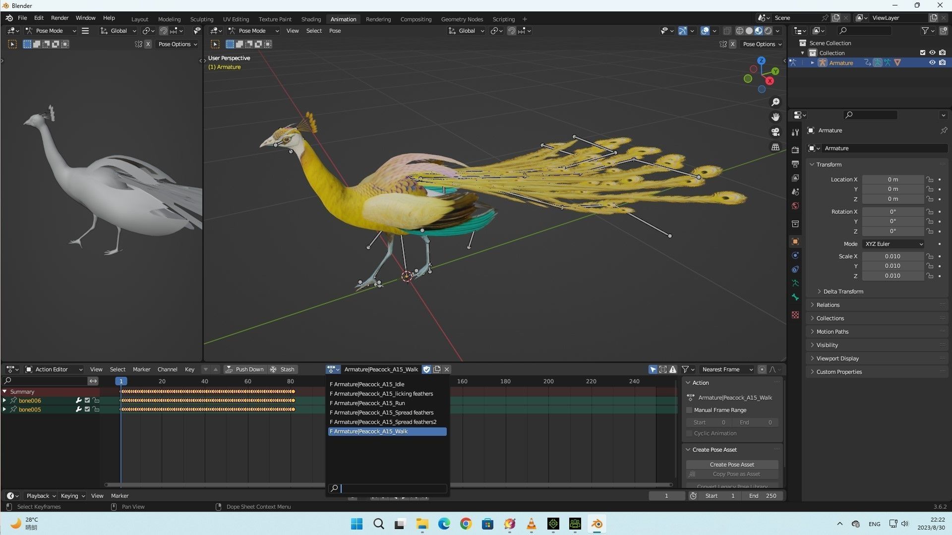 Peacock A2 3D model_9