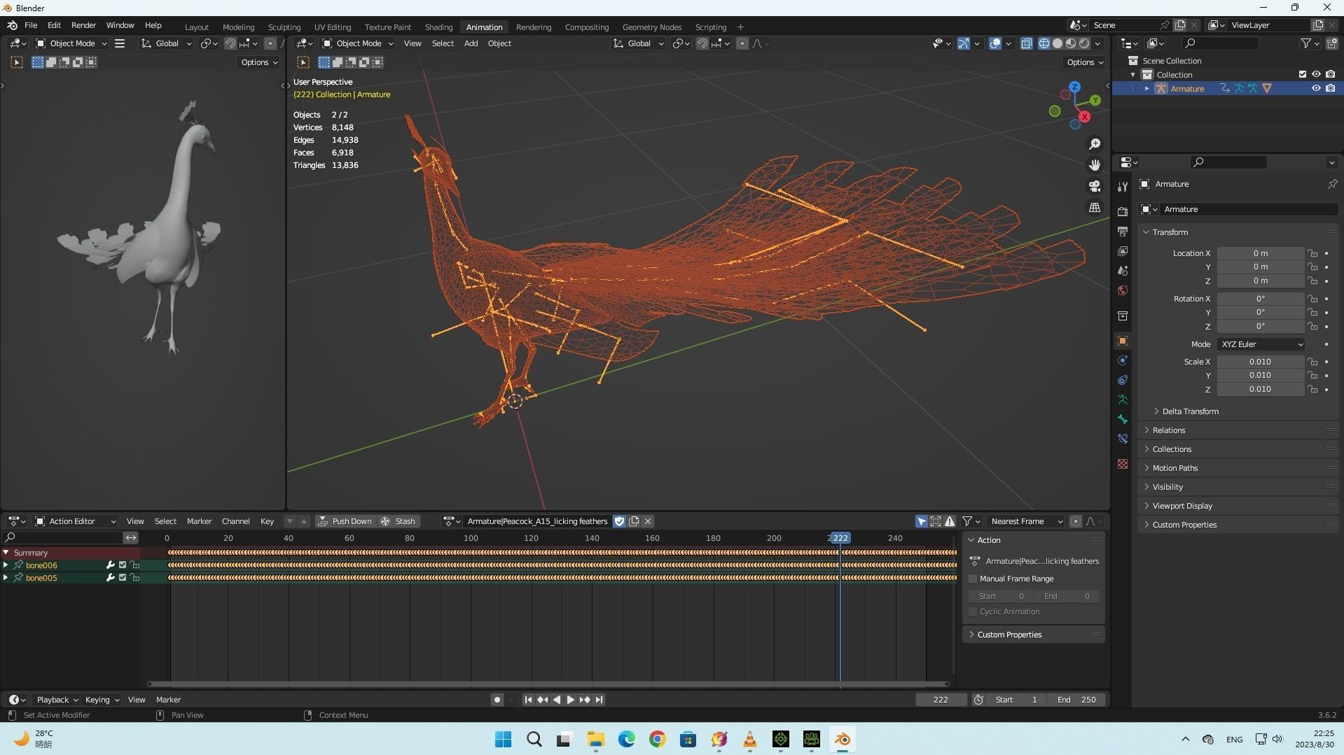 Peacock A2 3D model_11