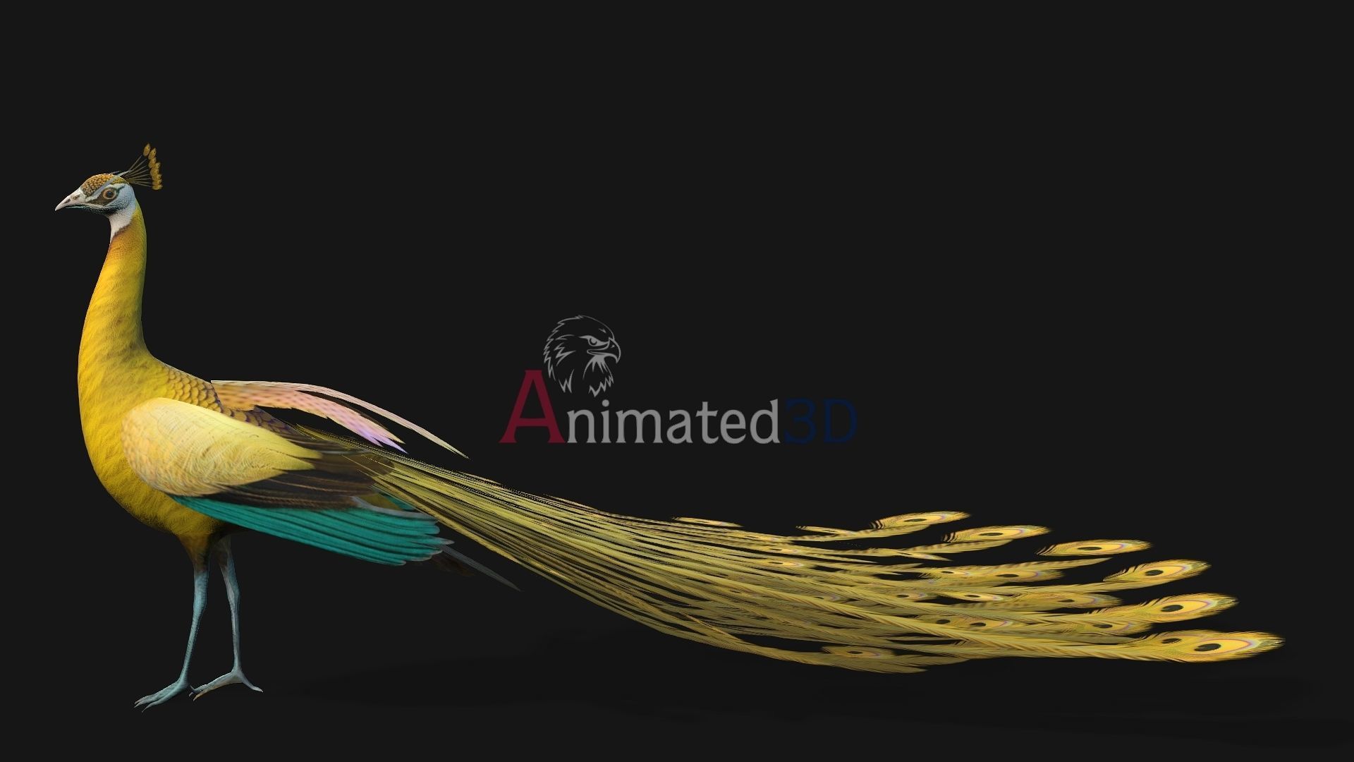 Peacock A2 3D model_7