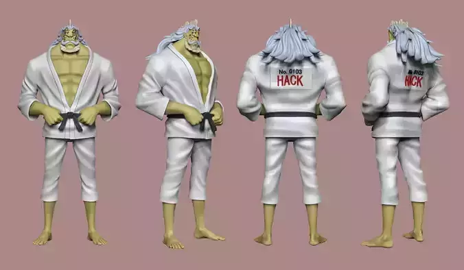 Hack One Piece Character  3D print model