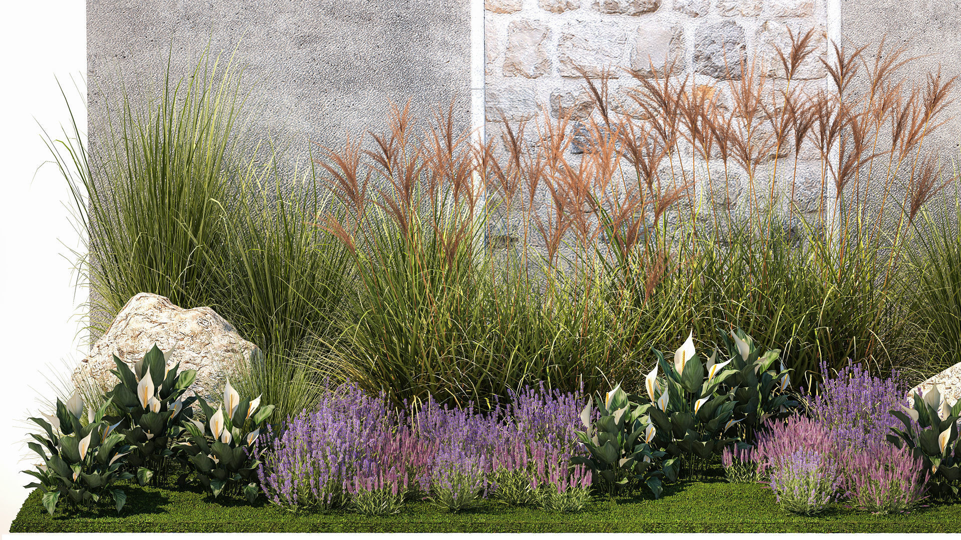 Garden with lavender bushes Spathiphyllum Miscanthus 1397 3D model_1