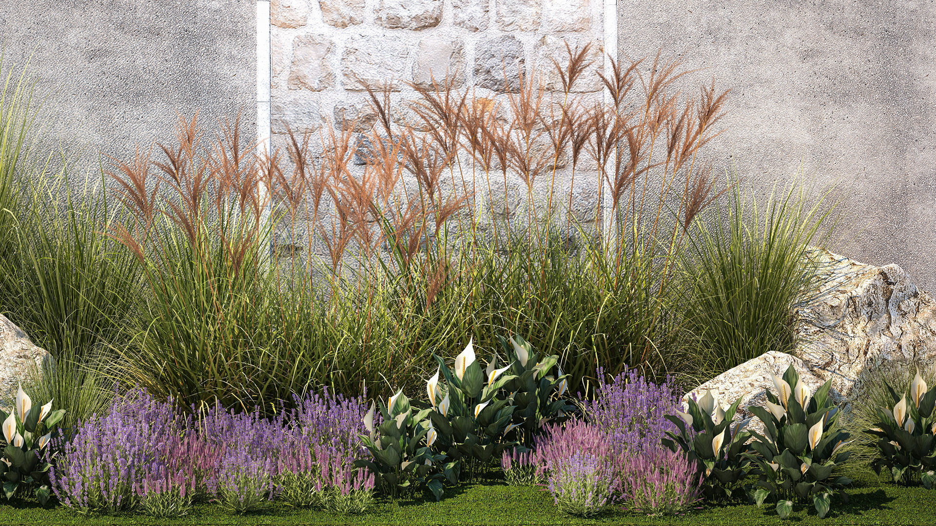 Garden with lavender bushes Spathiphyllum Miscanthus 1397 3D model_2