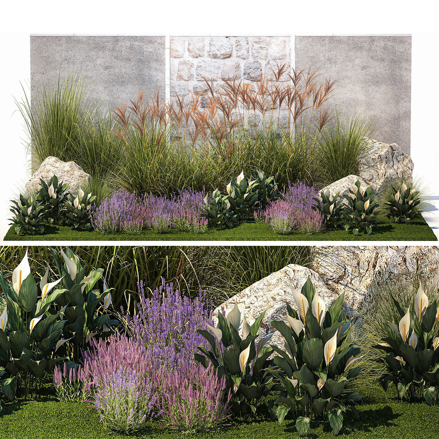 Garden with lavender bushes Spathiphyllum Miscanthus 1397 3D model_6
