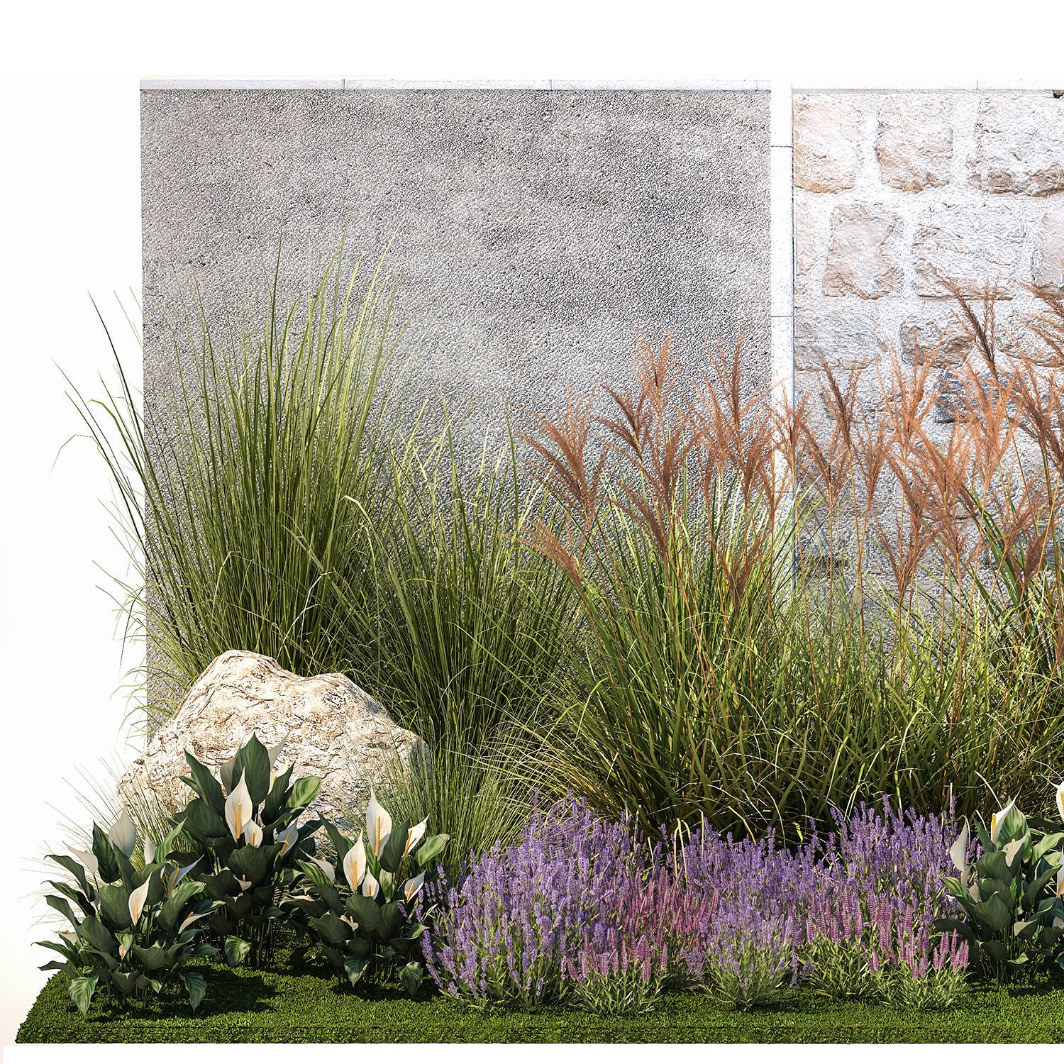 Garden with lavender bushes Spathiphyllum Miscanthus 1397 3D model_8