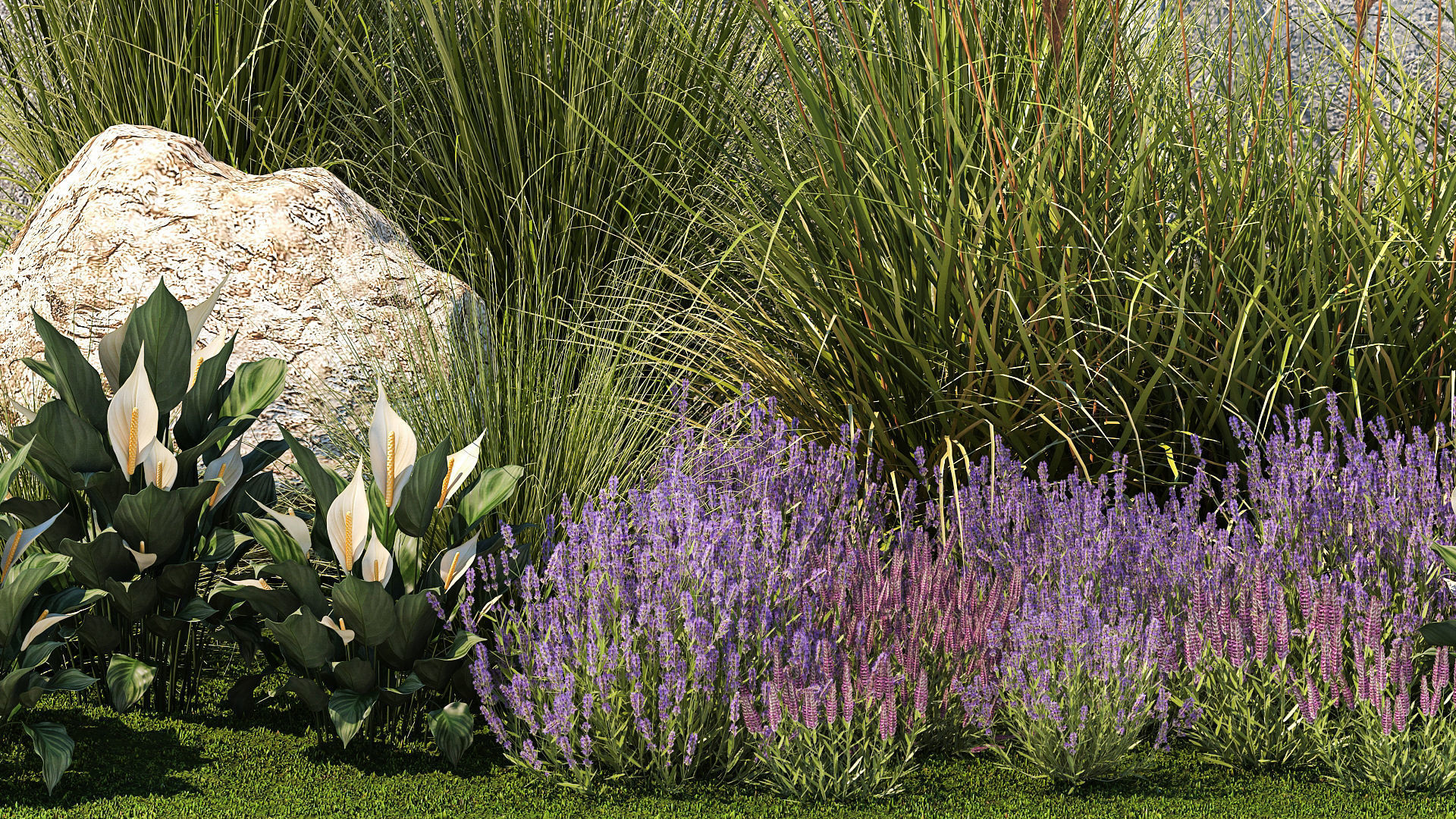 Garden with lavender bushes Spathiphyllum Miscanthus 1397 3D model_5