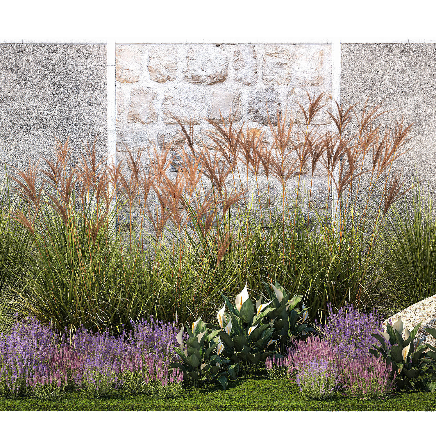 Garden with lavender bushes Spathiphyllum Miscanthus 1397 3D model_9