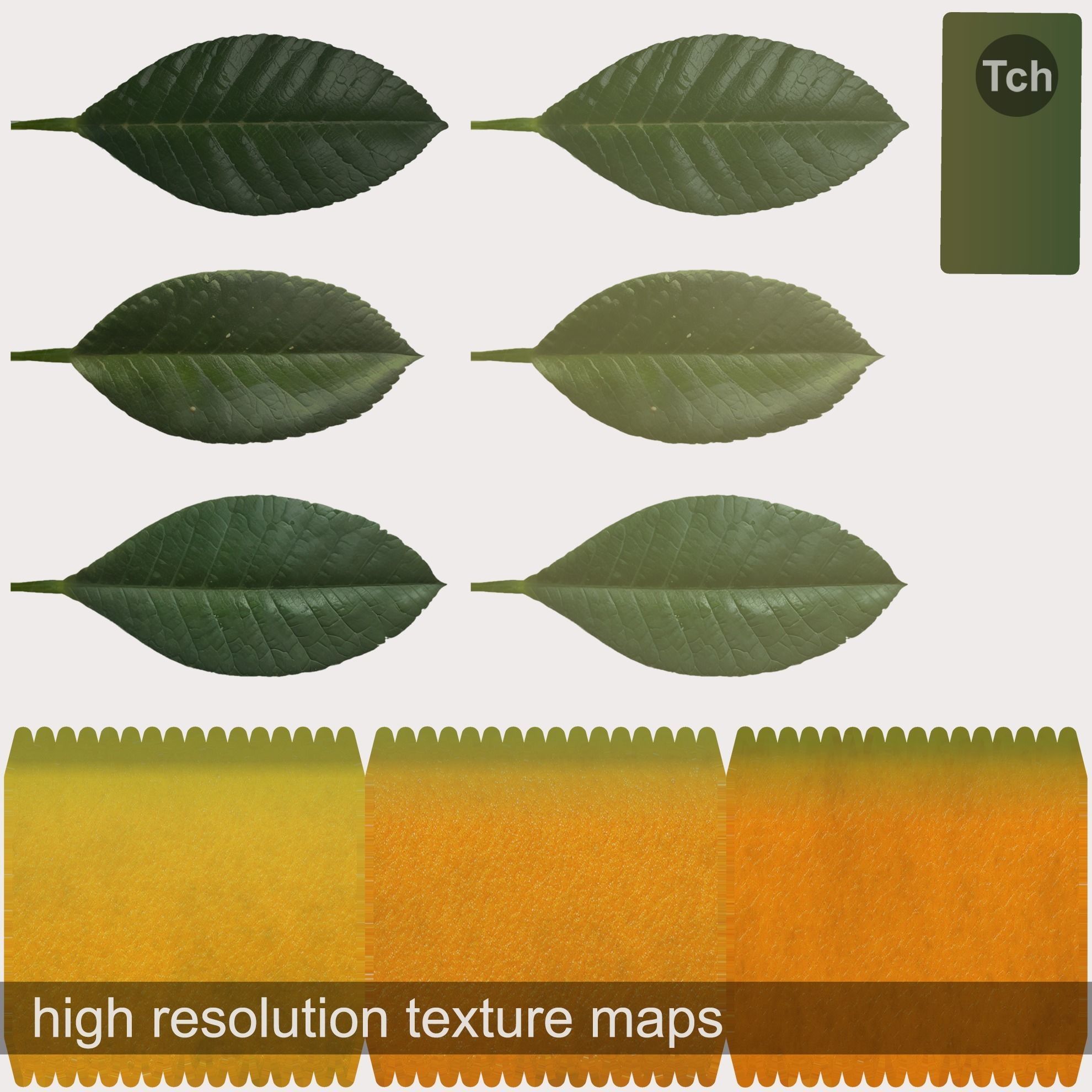 Mandarin tree in a pot Low-poly 3D model_7