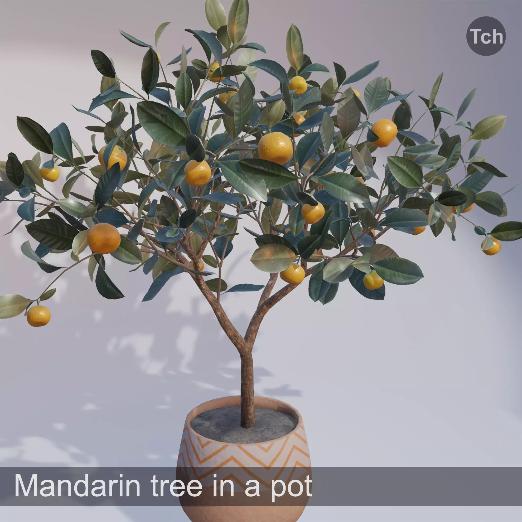 Mandarin tree in a pot Low-poly 3D model_0
