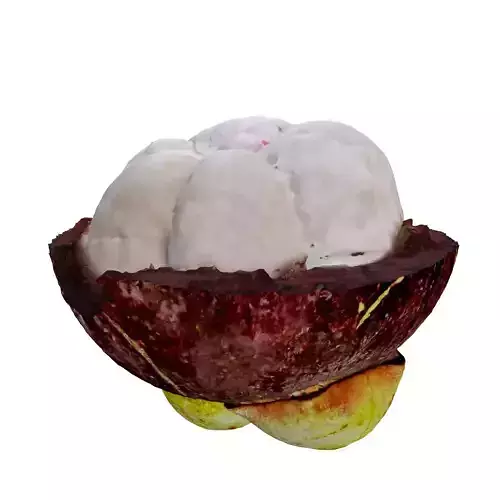 MANGOSTEEN FLESH 3D model