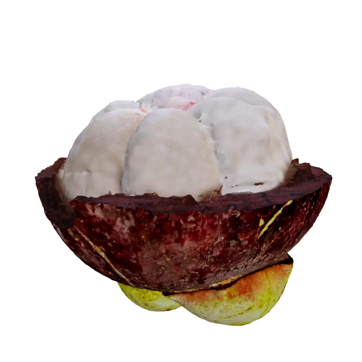 MANGOSTEEN FLESH 3D model_0