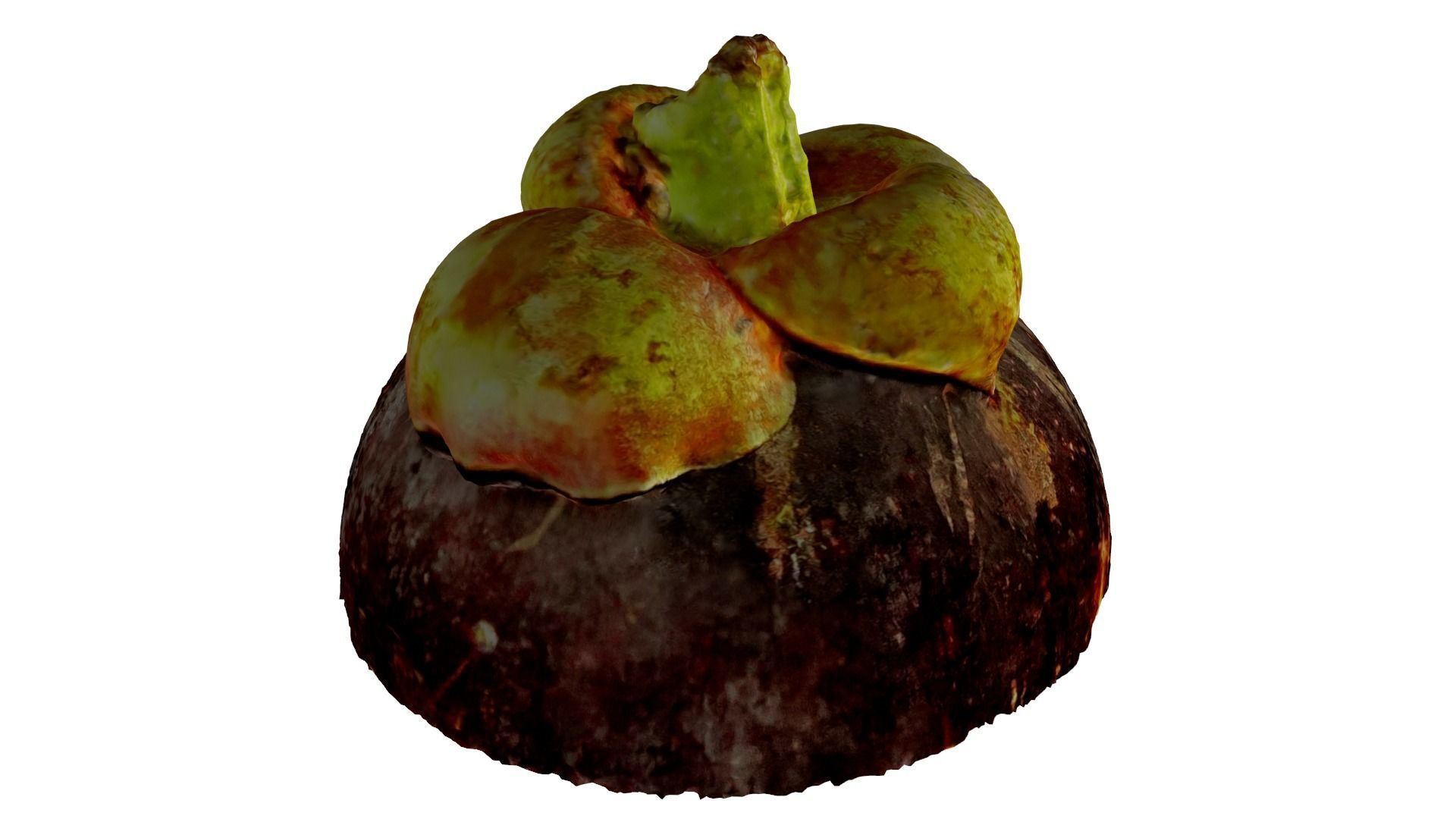 MANGOSTEEN FLESH 3D model_5