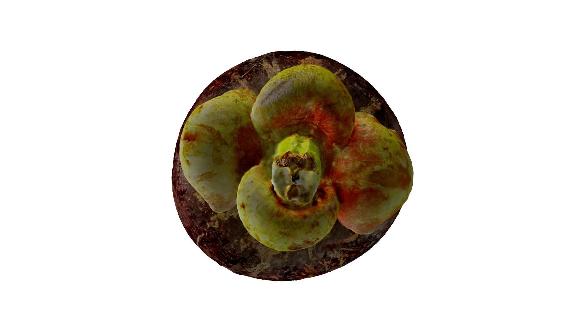 MANGOSTEEN FLESH 3D model_3