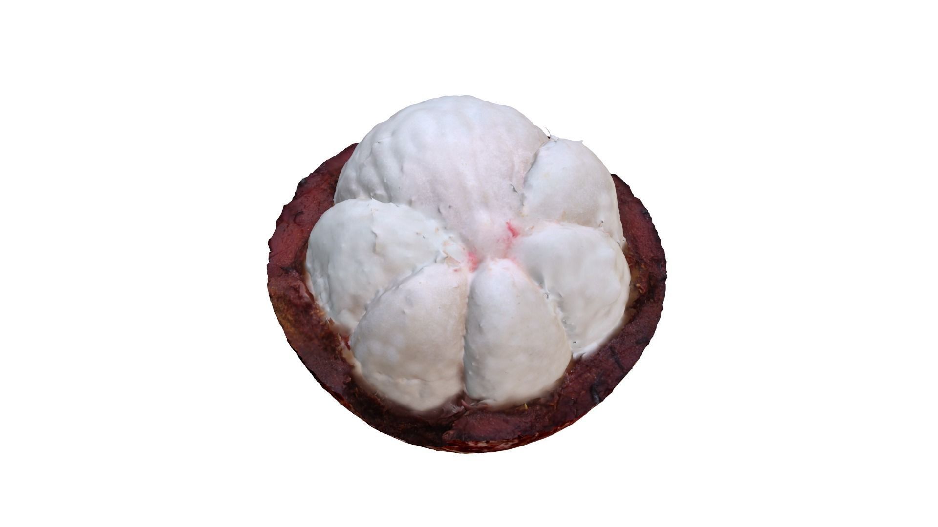 MANGOSTEEN FLESH 3D model_4