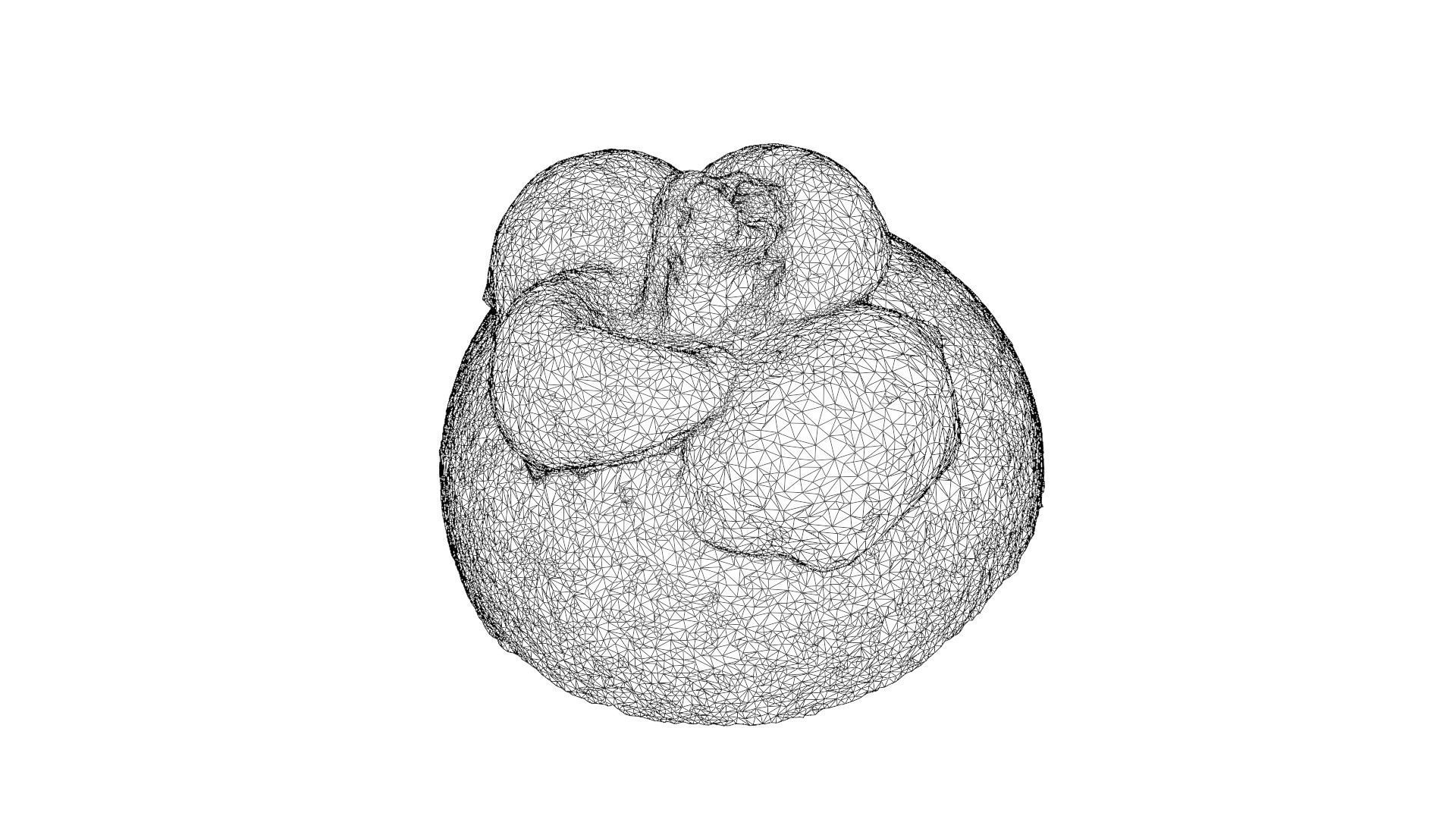 MANGOSTEEN FLESH 3D model_8