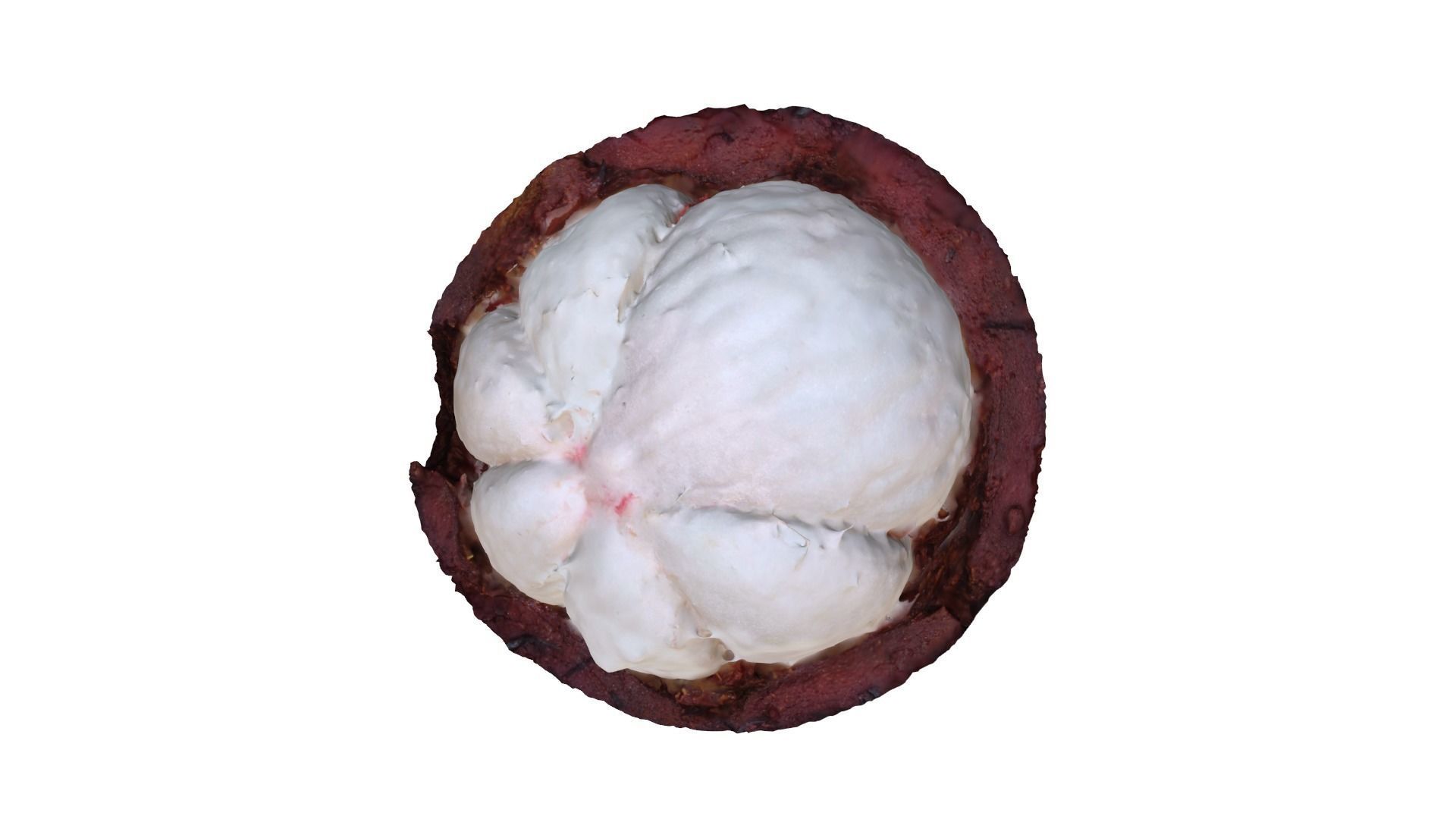 MANGOSTEEN FLESH 3D model_2