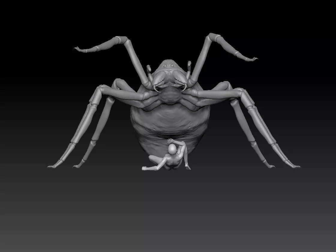 SPIDER HALLOWEEN 2 3D print model_0