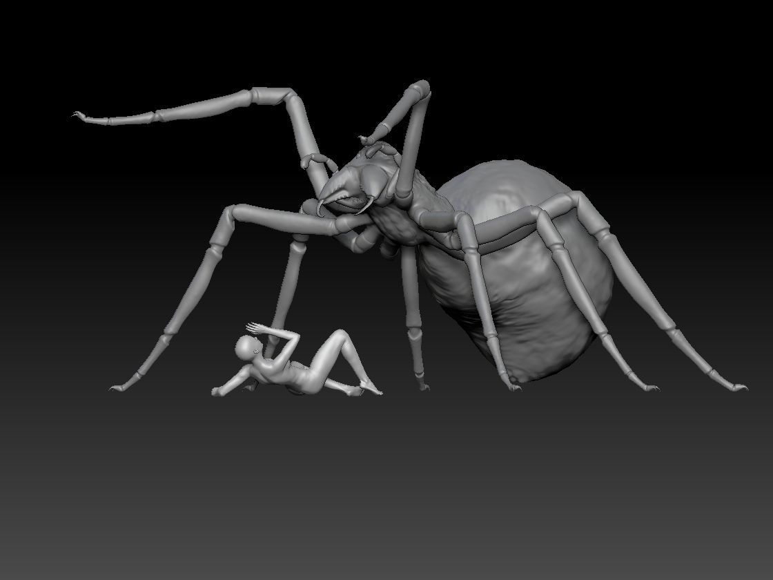 SPIDER HALLOWEEN 2 3D print model_1