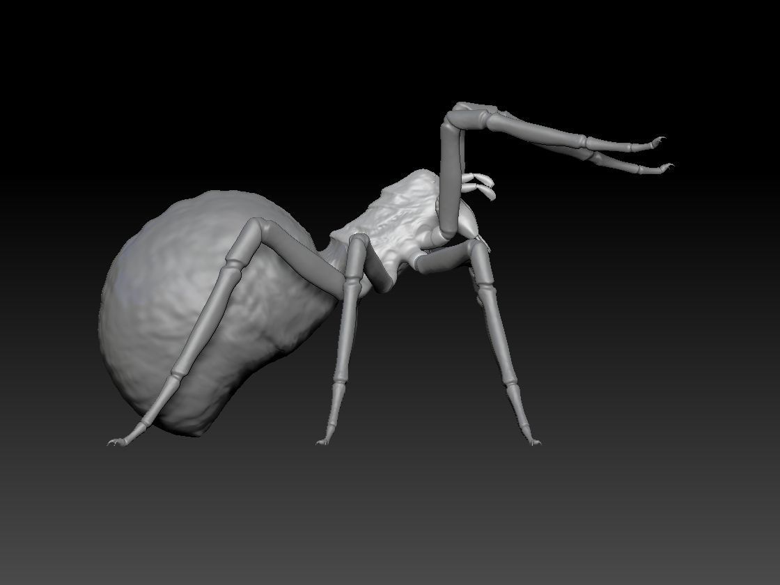 SPIDER HALLOWEEN 2 3D print model_6