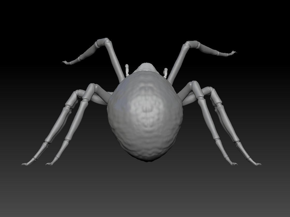 SPIDER HALLOWEEN 2 3D print model_4