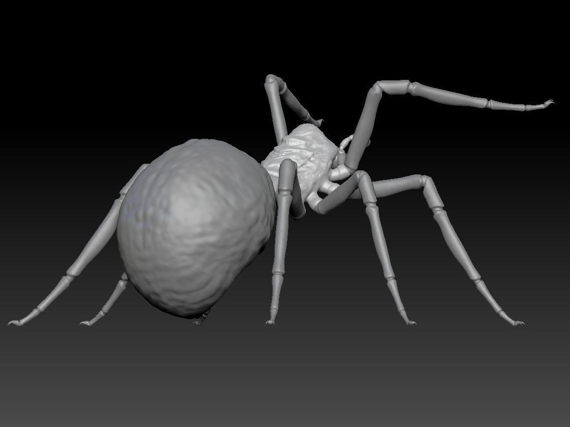 SPIDER HALLOWEEN 2 3D print model_5