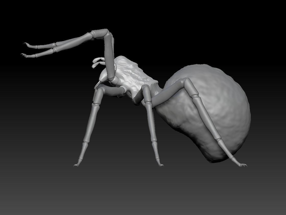 SPIDER HALLOWEEN 2 3D print model_2
