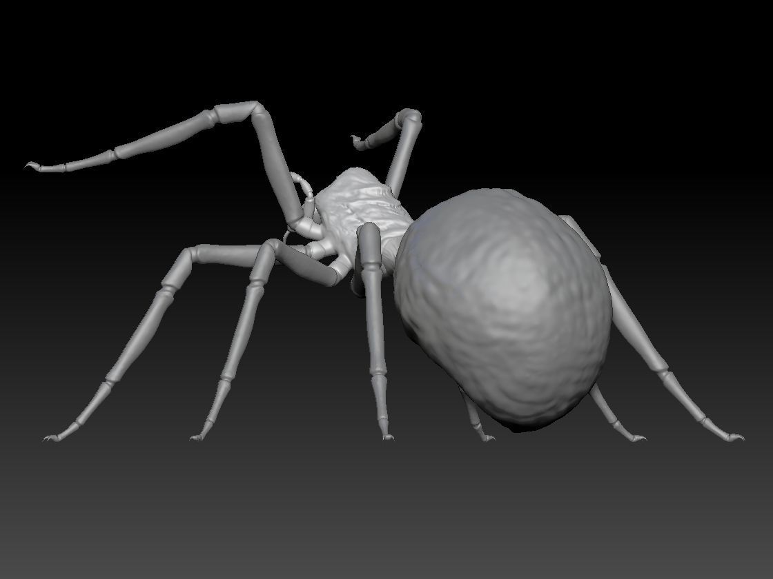 SPIDER HALLOWEEN 2 3D print model_3