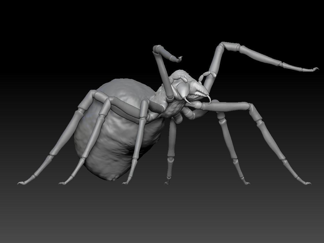 SPIDER HALLOWEEN 2 3D print model_7