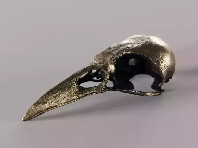 crow skull - bronze 3D model