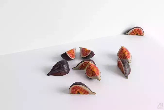 Fig   3D model
