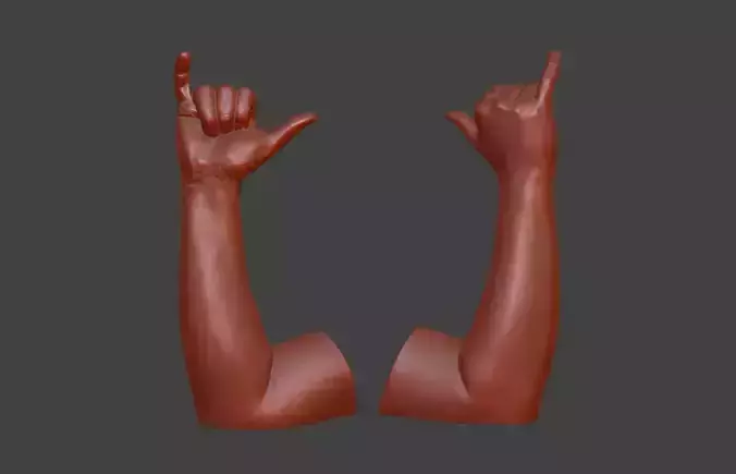 hand shaka sign 3D print model