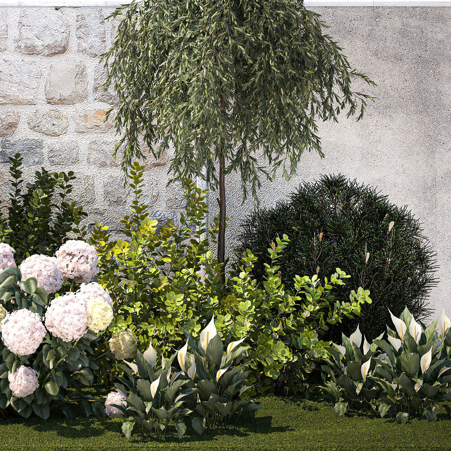 Garden Spathiphyllum Thuja Hydrangea Berberis 1399 3D model_12