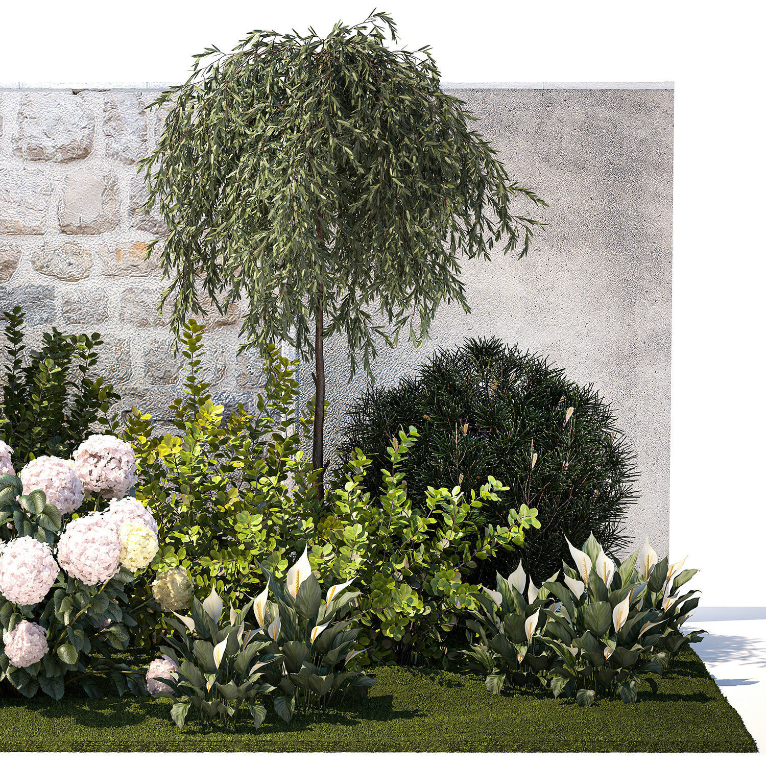 Garden Spathiphyllum Thuja Hydrangea Berberis 1399 3D model_10