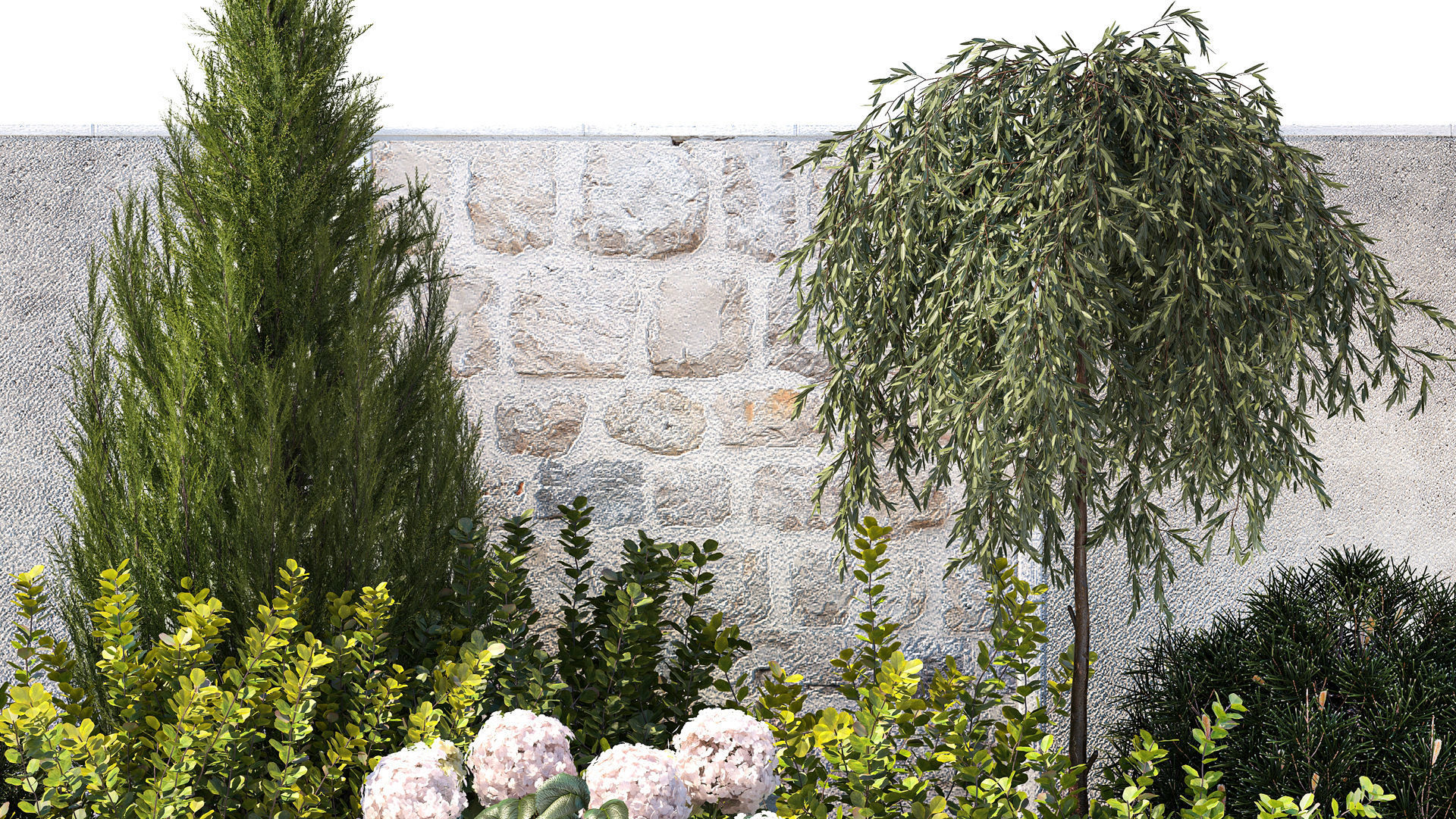 Garden Spathiphyllum Thuja Hydrangea Berberis 1399 3D model_2